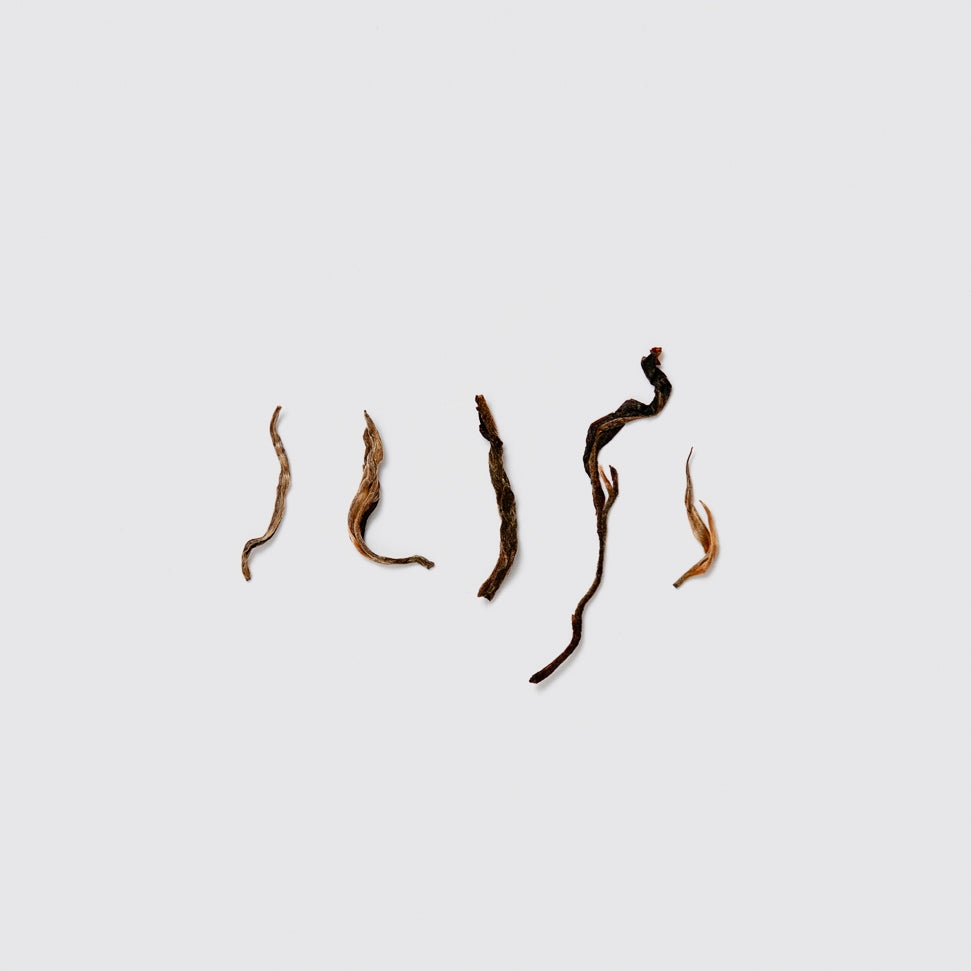 2018 Spring Mangzhi Old Tree Raw Pu-erh 