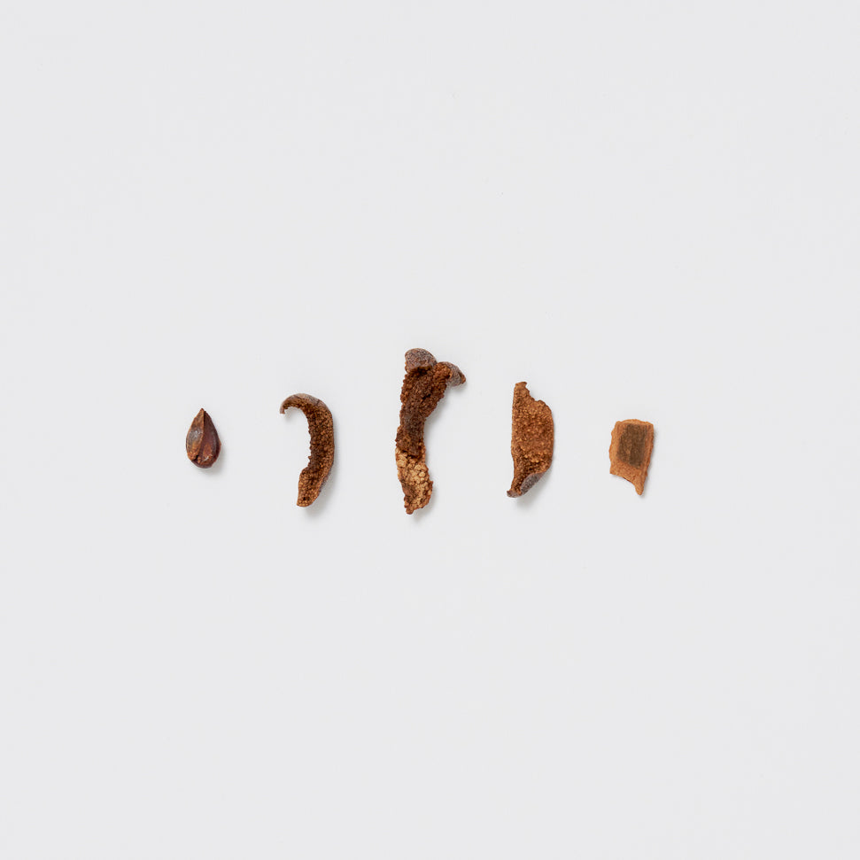 Wild Pear Cinnamon Tea