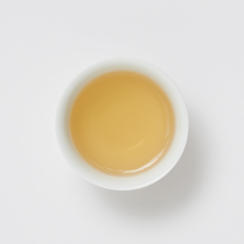 2023 Spring, Aged Moonlight White 